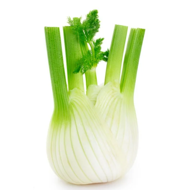 Fennel (+/- 1.5 lb)