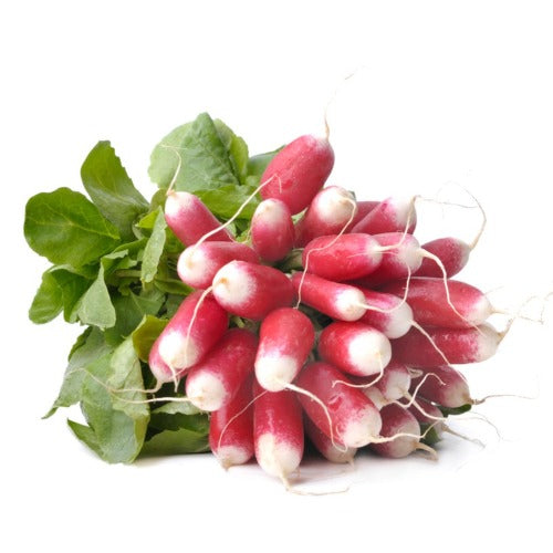 Radish Bunch