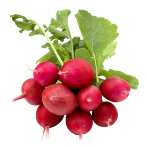 Radish Bunch