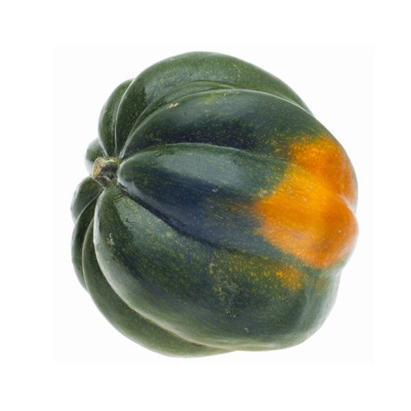 Acorn Squash