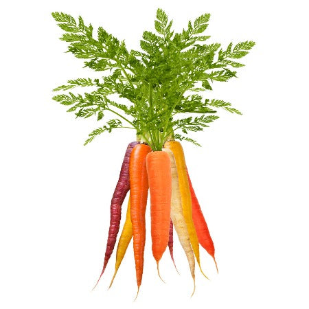 Rainbow Carrots (2 lb +)