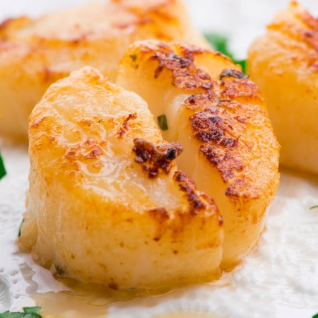 Wild Scallops – Bone-In Food