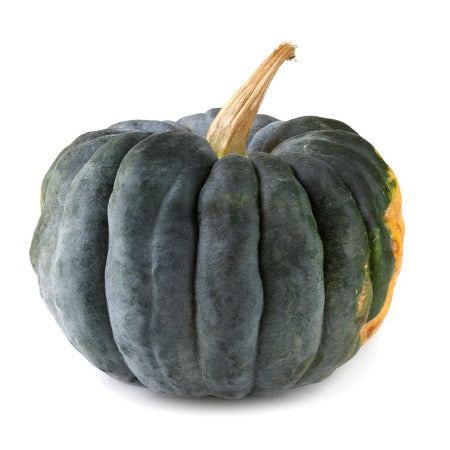 Heirloom Squash (per head)