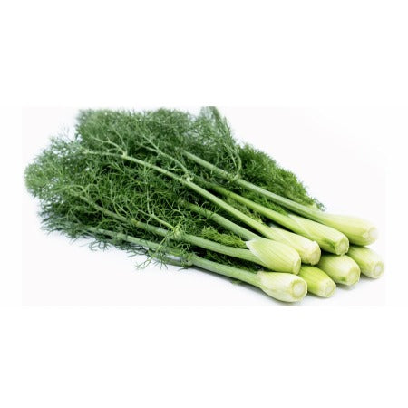 Fennel (+/- 1.5 lb)